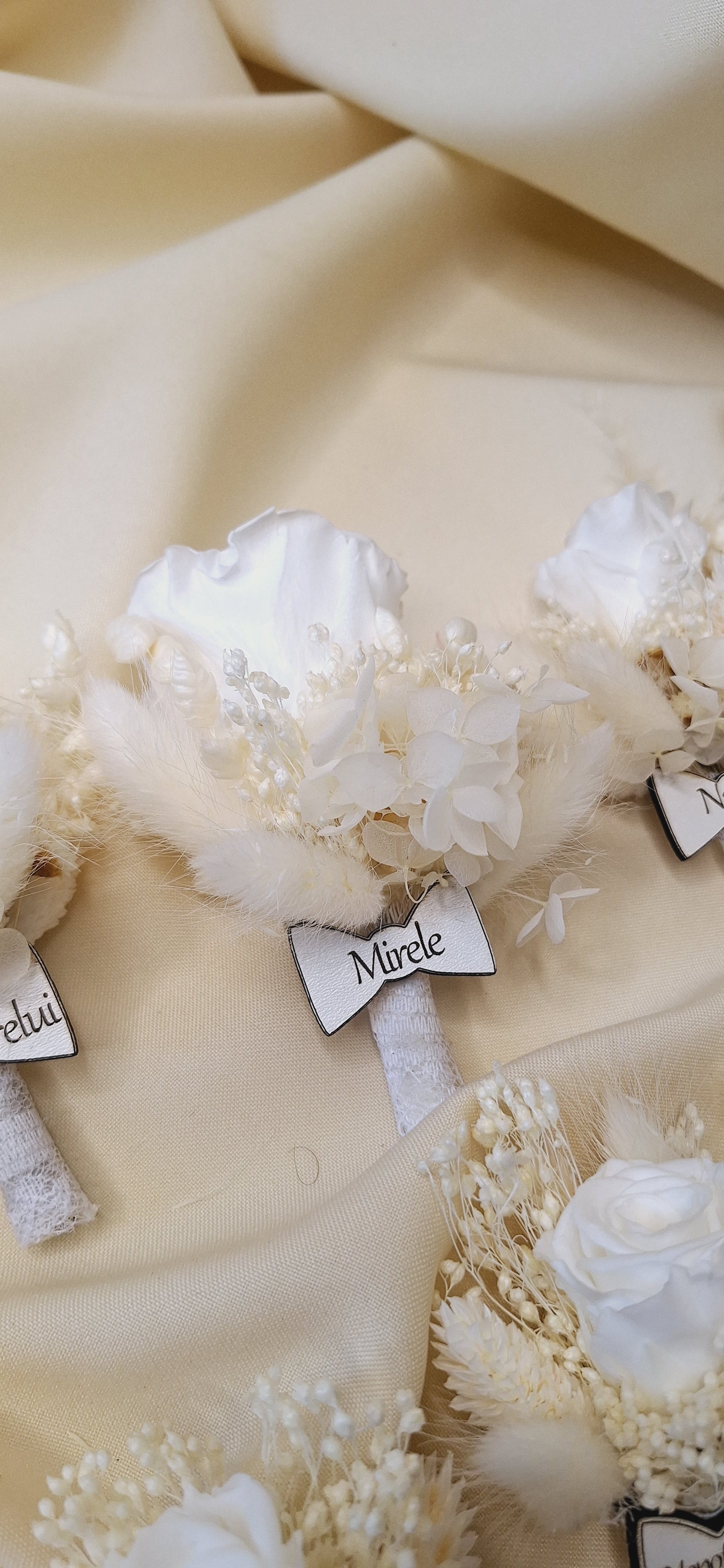 Brățări și Cocarde criogenate