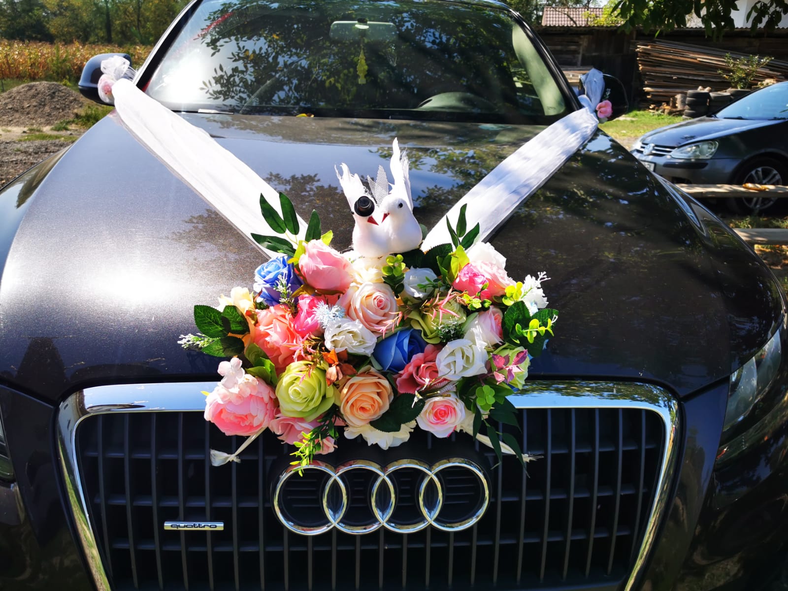 Aranjament mașină cu Porumbei