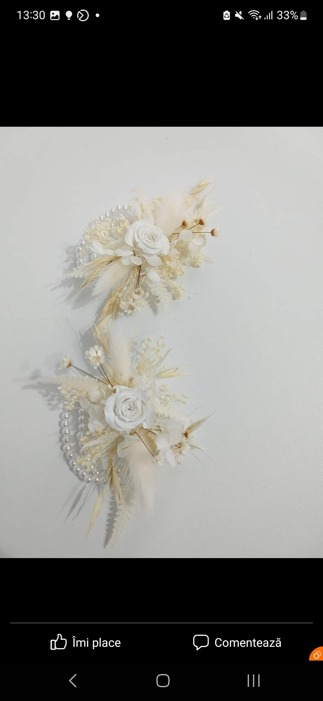 Cocarde și Brățări flori criogenate